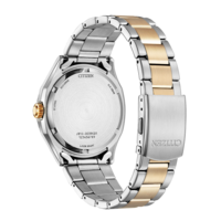 AW1756-89A