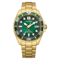 BN0262-59W Promaster Eco-Drive Diver
